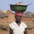 Awabu carrying a load