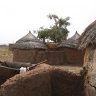 Gambaga