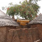 Gambaga
